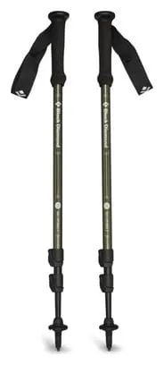 Bâtons de Randonnée Black Diamond Explorer 3 Trekking Poles Vert