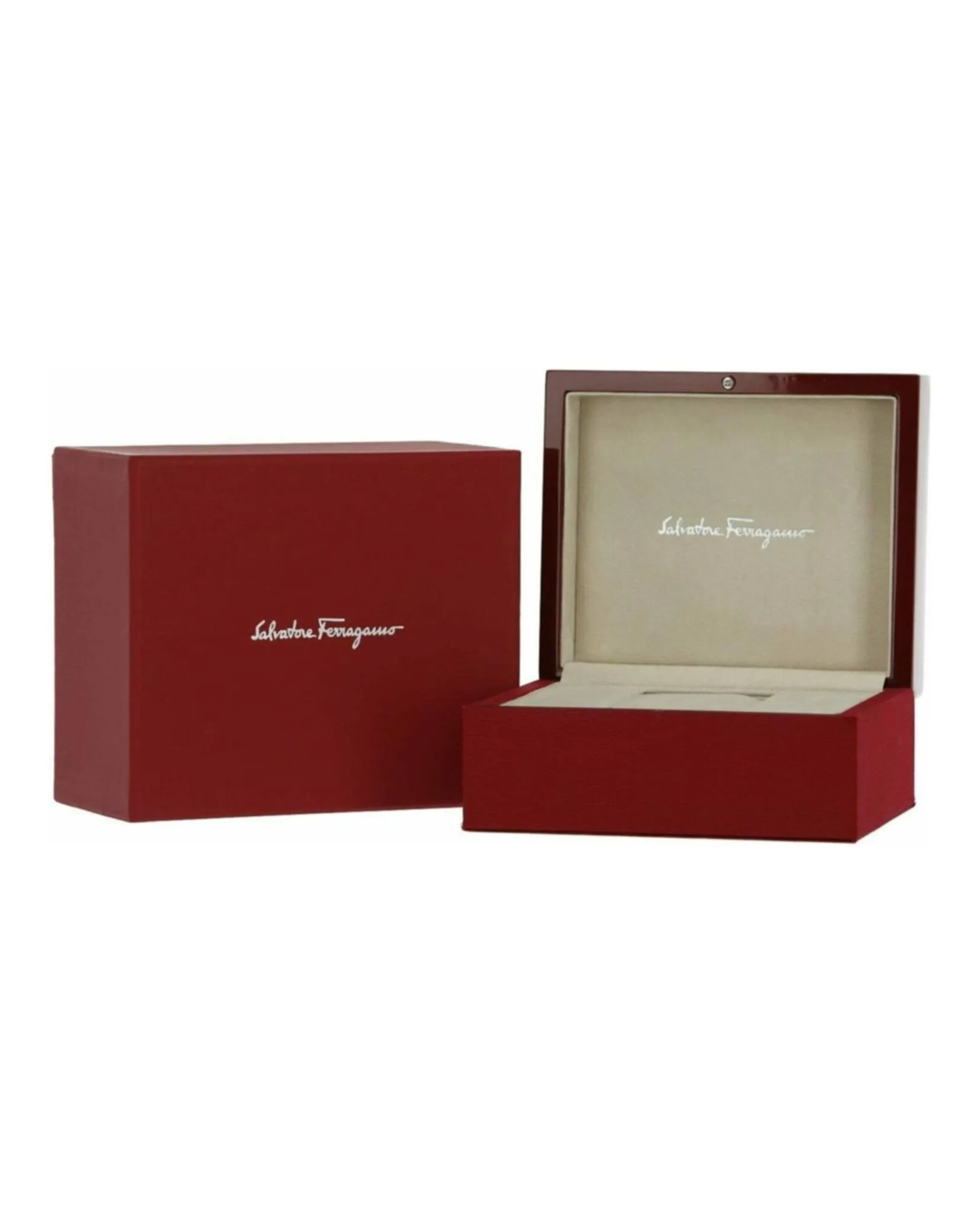 Ferragamo Portrait L Strap Watch