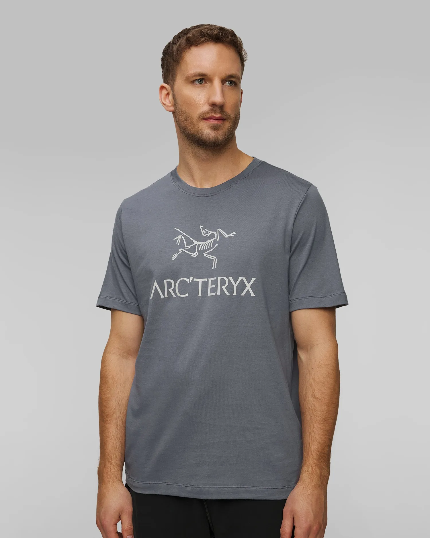 Men's T-shirt Arcteryx Arc Word Logo SS M light blue x000007991-straacsk