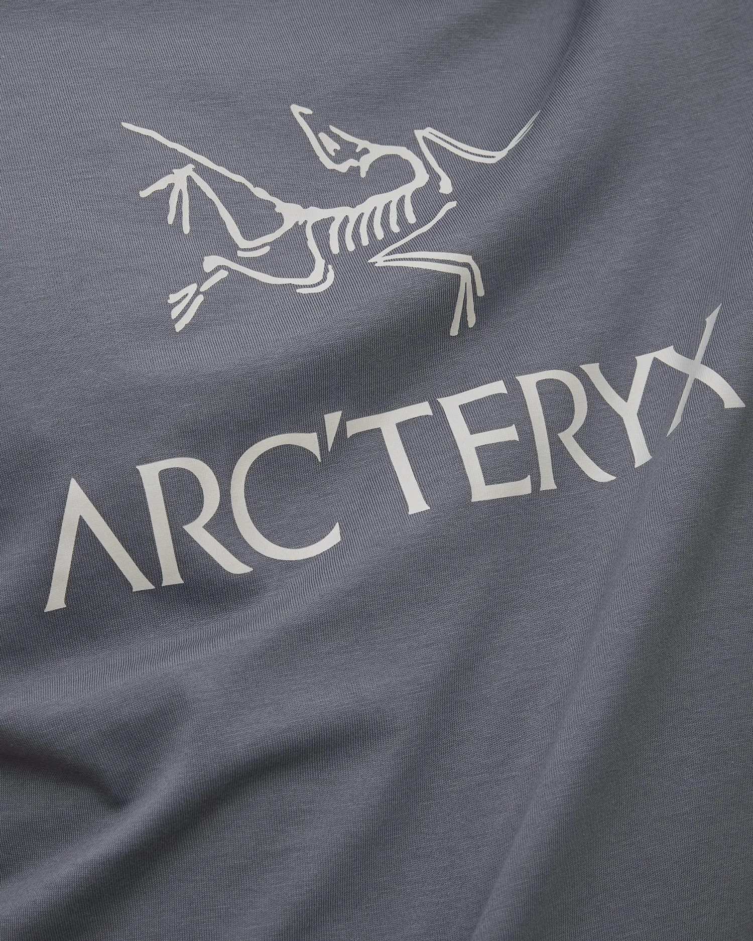 Men's T-shirt Arcteryx Arc Word Logo SS M light blue x000007991-straacsk