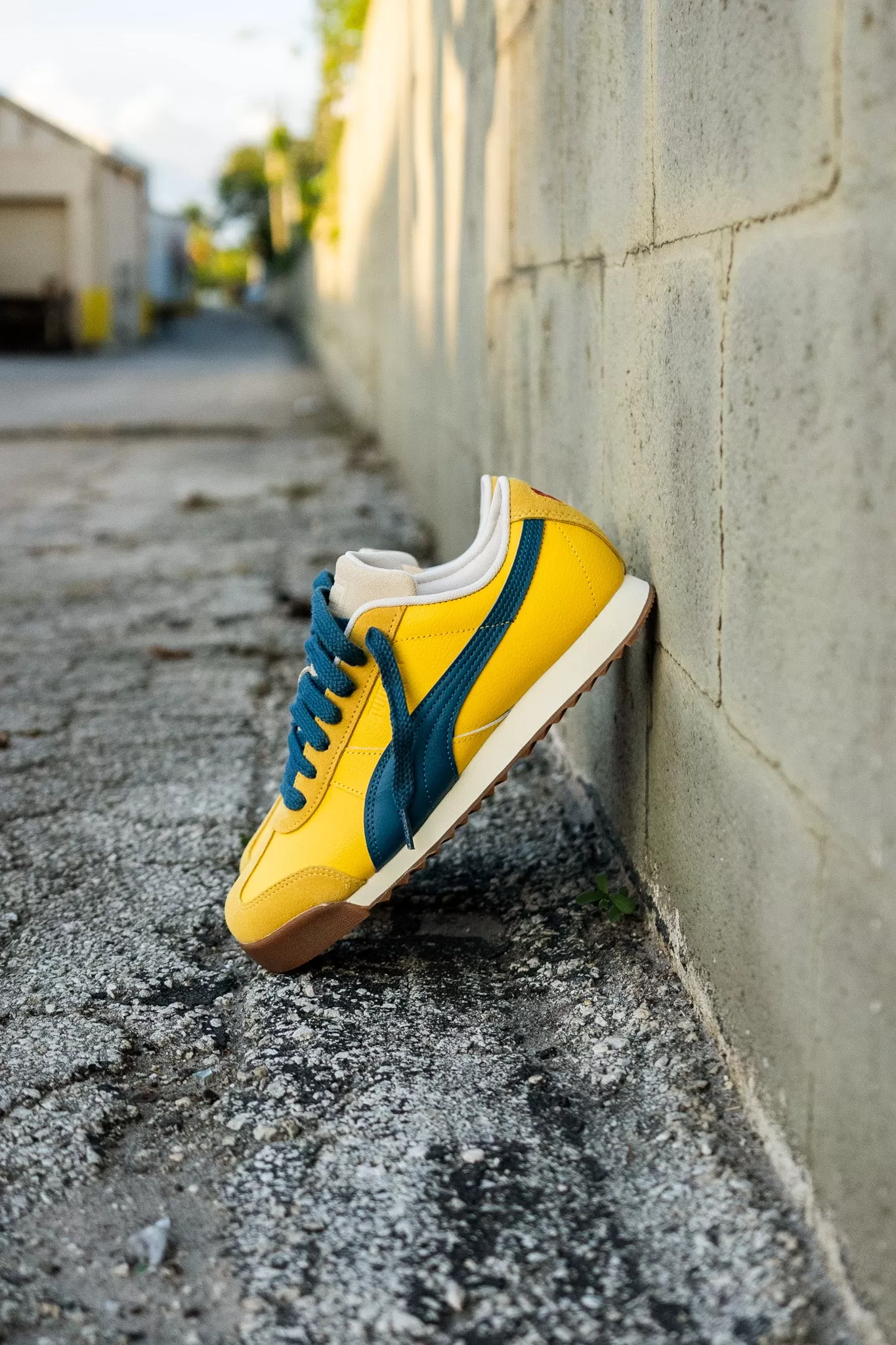 Mens Puma Roma Underdogs (Canary Yellow)