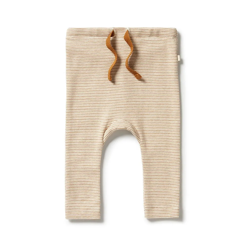 organic ribbed henley set - spice