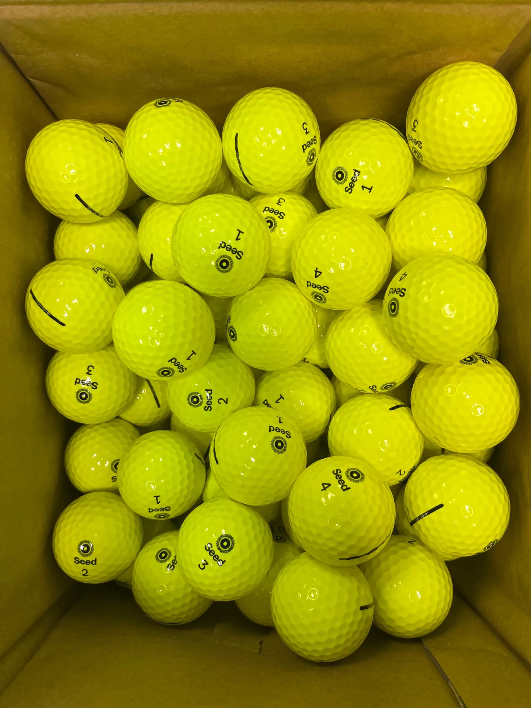 SD-01 Wrong-Uns - LOOSE GOLF BALLS